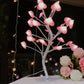 LED Night Light For Home Kids Bedroom